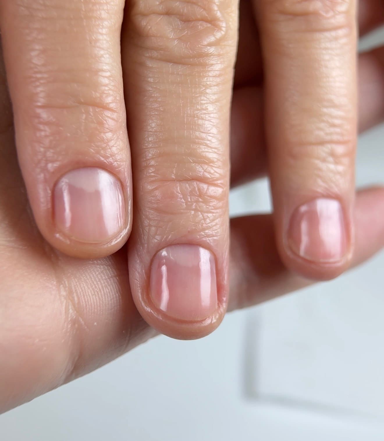 Perfect Cuticle System — English Course Coming Soon
