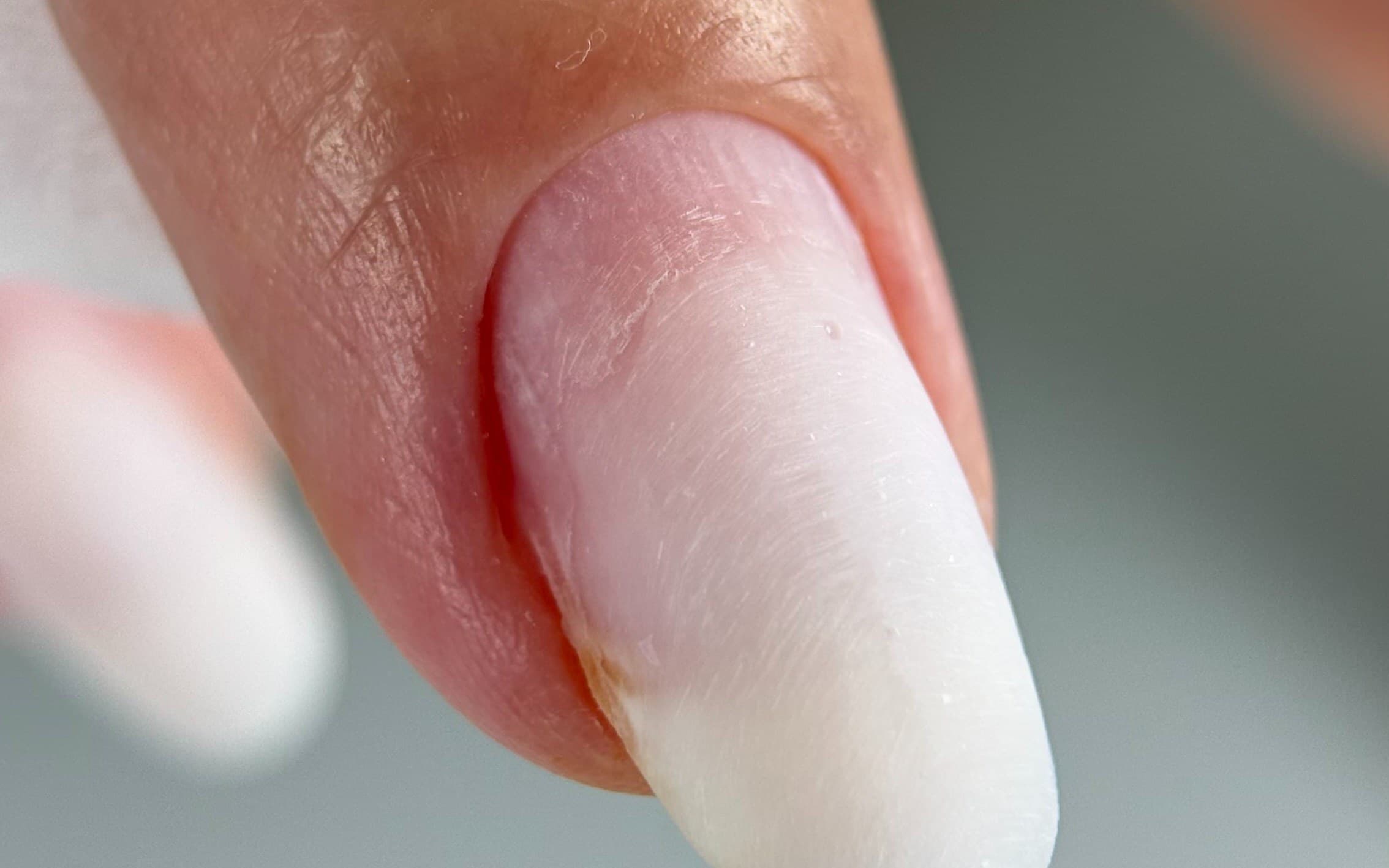 Perfect Cuticle System — Now Available in English